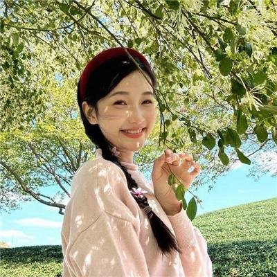 疯狂的麦咭第五季